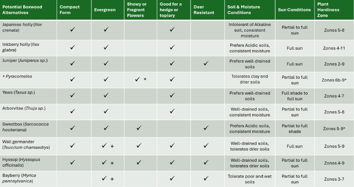 Graph of boxwood alternatives .jpg